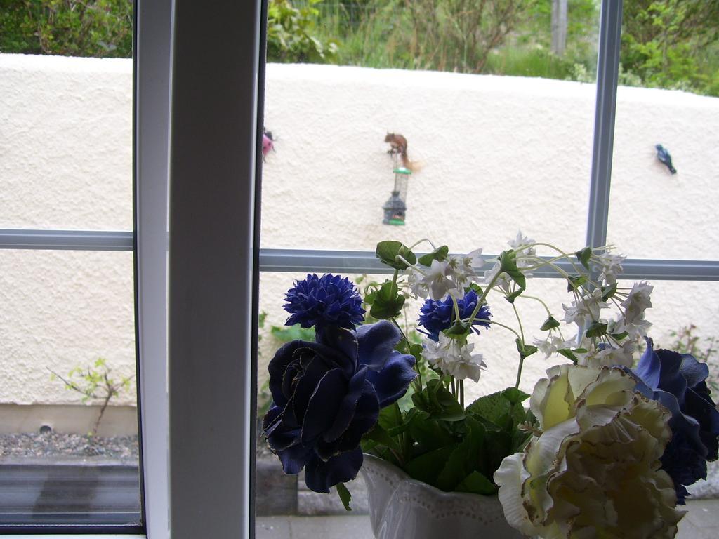 Lurig View B&B Glenariffe Exterior foto